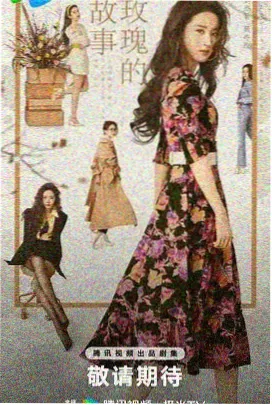 你比星光美丽 免费电视剧在线观看