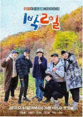 尘封十三载 最新电视剧免费播放