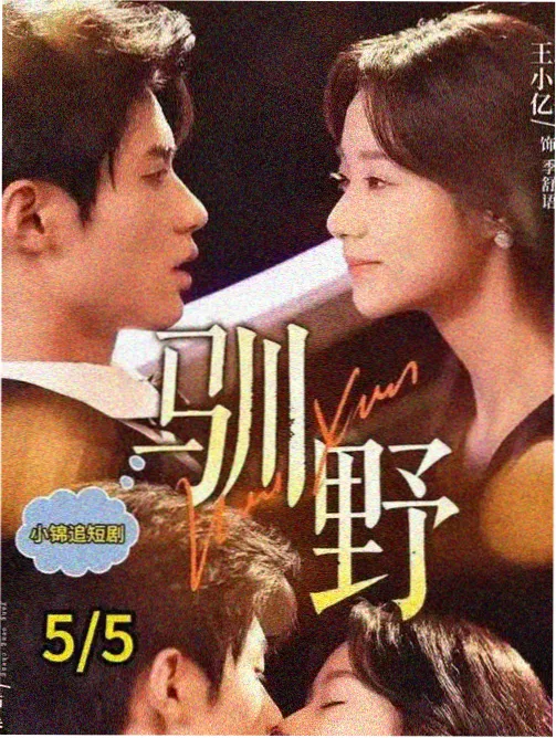 你比星光美丽 最新电视剧免费播放
